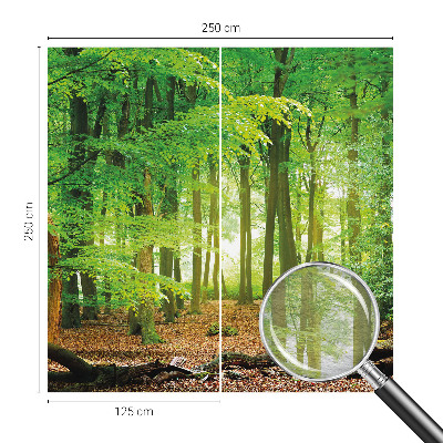 Fototapete fürs Schlafzimmer Grüner Wald