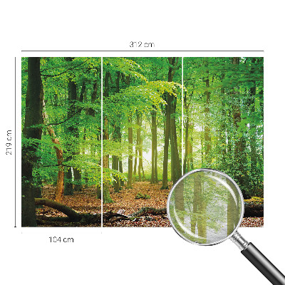Fototapete fürs Schlafzimmer mit einem Motiv grüner Wald