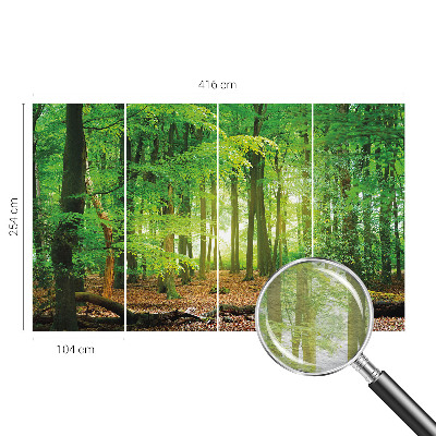 Fototapete fürs Schlafzimmer mit einem Motiv grüner Wald