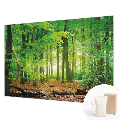 Fototapete fürs Schlafzimmer mit einem Motiv grüner Wald