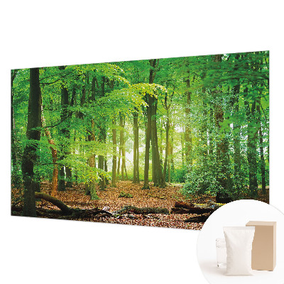 Fototapete fürs Schlafzimmer mit einem Motiv grüner Wald