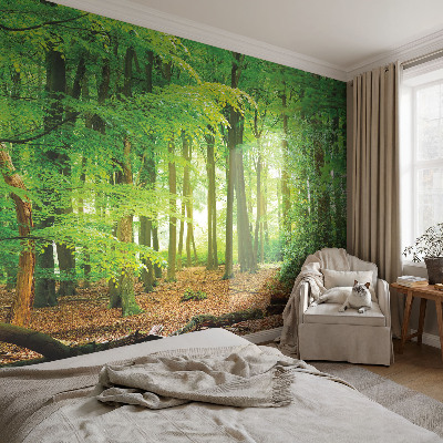 Fototapete fürs Schlafzimmer mit einem Motiv grüner Wald