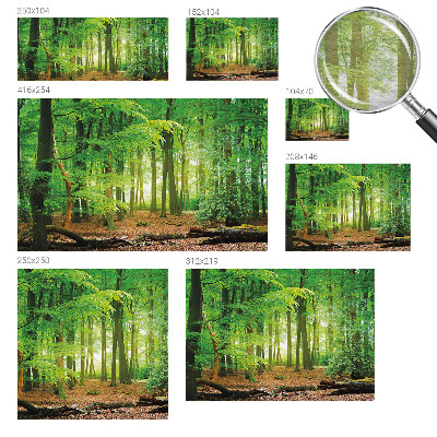 Fototapete fürs Schlafzimmer mit einem Motiv grüner Wald