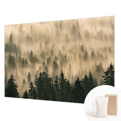 Vlies-Fototapete fürs Schlafzimmer Waldnebel