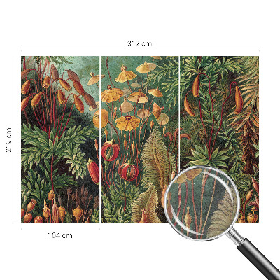 Motivtapete aus Vlies Exotischer Garten