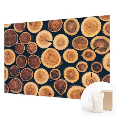 Vlies-Fototapete nach Maß mit Motiv aus Holzkreisen