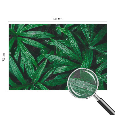 Fototapete Natürliches Grün