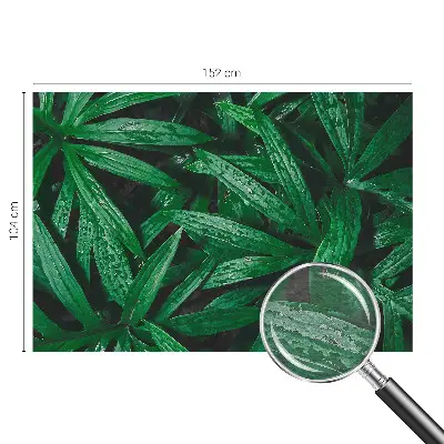 Fototapete mit natürlichem grünem Motiv