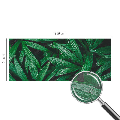 Fototapete Natürliches Grün