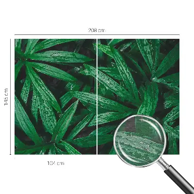 Fototapete mit natürlichem grünem Motiv