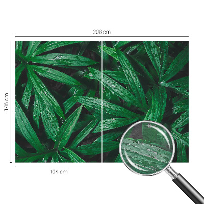 Fototapete Natürliches Grün