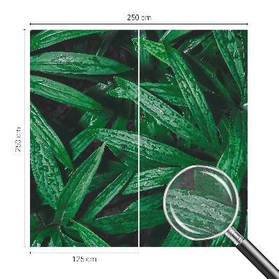 Fototapete Natürliches Grün