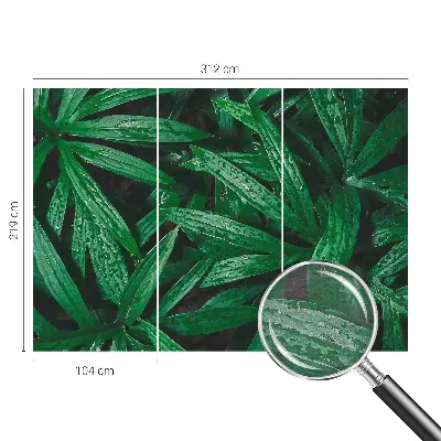 Fototapete mit natürlichem grünem Motiv