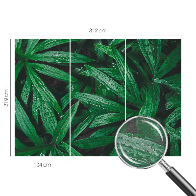 Fototapete Natürliches Grün