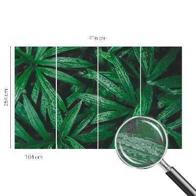 Fototapete Natürliches Grün