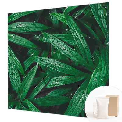 Fototapete Natürliches Grün