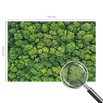 Moderne Vlies-Fototapete mit Waldpanorama