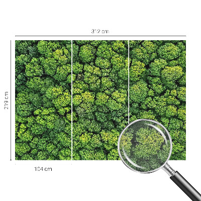 Moderne Vlies-Fototapete Waldpanorama