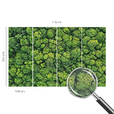 Moderne Vlies-Fototapete Waldpanorama