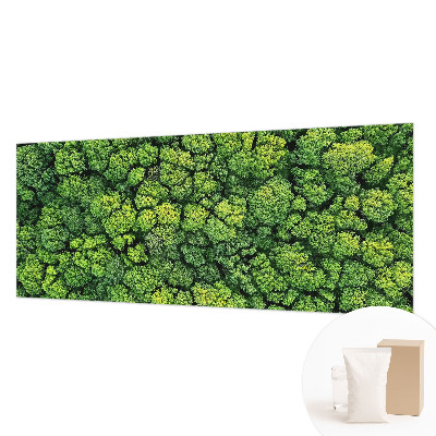 Moderne Vlies-Fototapete Waldpanorama