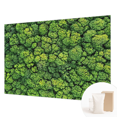 Moderne Vlies-Fototapete Waldpanorama