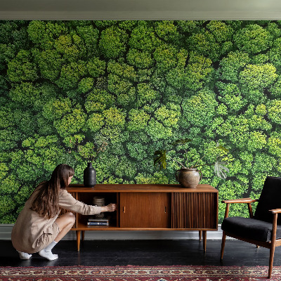 Moderne Vlies-Fototapete Waldpanorama