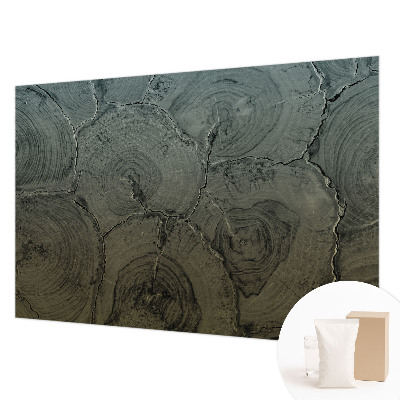 Vlies-Fototapete nach Maß Holzringe