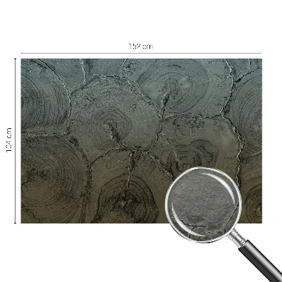 Vlies-Fototapete nach Maß mit Motiv aus Holzringen