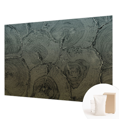 Vlies-Fototapete nach Maß Holzringe