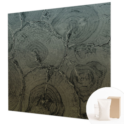 Vlies-Fototapete nach Maß Holzringe