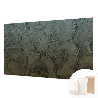 Vlies-Fototapete nach Maß Holzringe