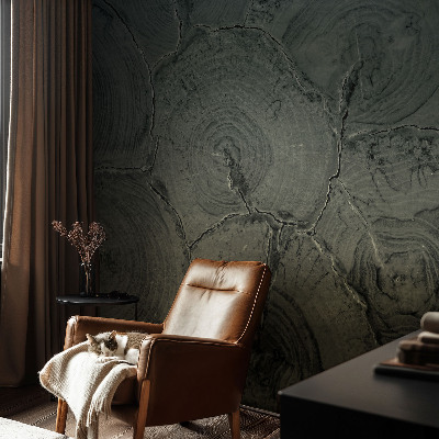 Vlies-Fototapete nach Maß Holzringe