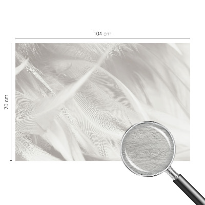 Vlies-Fototapete fürs Schlafzimmer Feine Federn