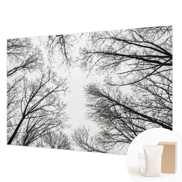 Motivtapete Kahle Äste