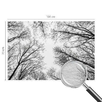 Motivtapete Kahle Äste