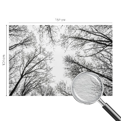 Motivtapete Kahle Äste