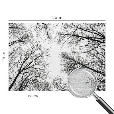 Motivtapete Kahle Äste