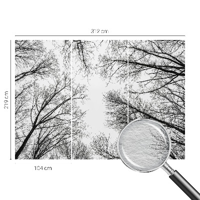 Motivtapete Kahle Äste