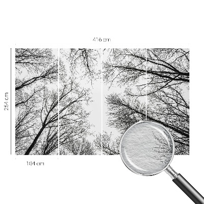 Motivtapete Kahle Äste