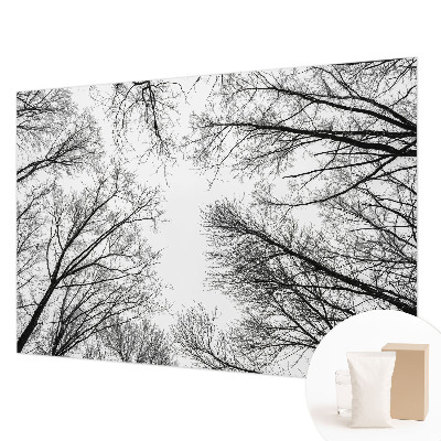 Motivtapete Kahle Äste