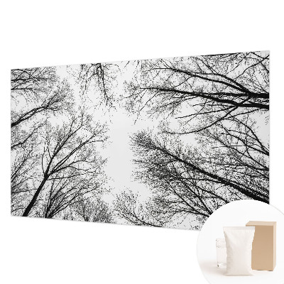 Motivtapete Kahle Äste