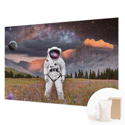 Motivtape­te mit einer kosmischen Landschaft