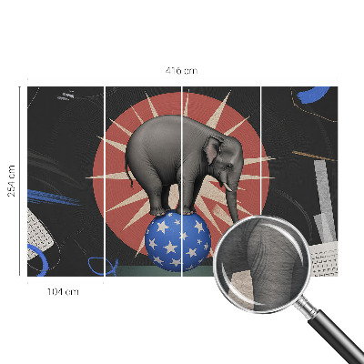 Wand-Fototapete Zirkuselefant