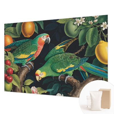 Vlies-Fototapete Tropisches Abenteuer