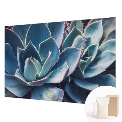Vlies-Fototapete fürs Schlafzimmer mit grünem Aloe‑Motiv