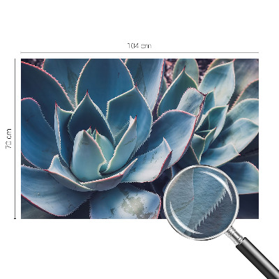 Vlies-Fototapete fürs Schlafzimmer Grüne Aloe