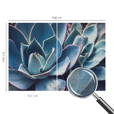 Vlies-Fototapete fürs Schlafzimmer Grüne Aloe