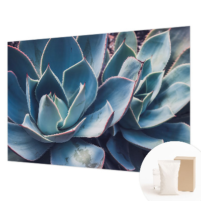 Vlies-Fototapete fürs Schlafzimmer Grüne Aloe