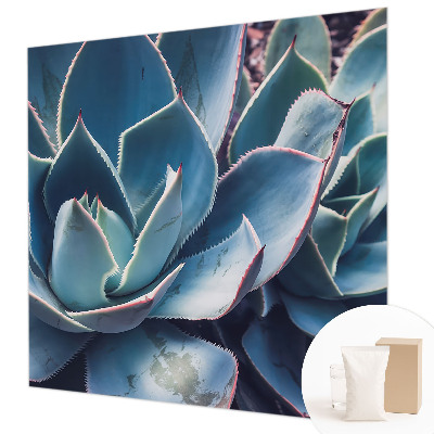 Vlies-Fototapete fürs Schlafzimmer Grüne Aloe