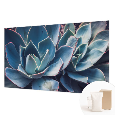 Vlies-Fototapete fürs Schlafzimmer Grüne Aloe